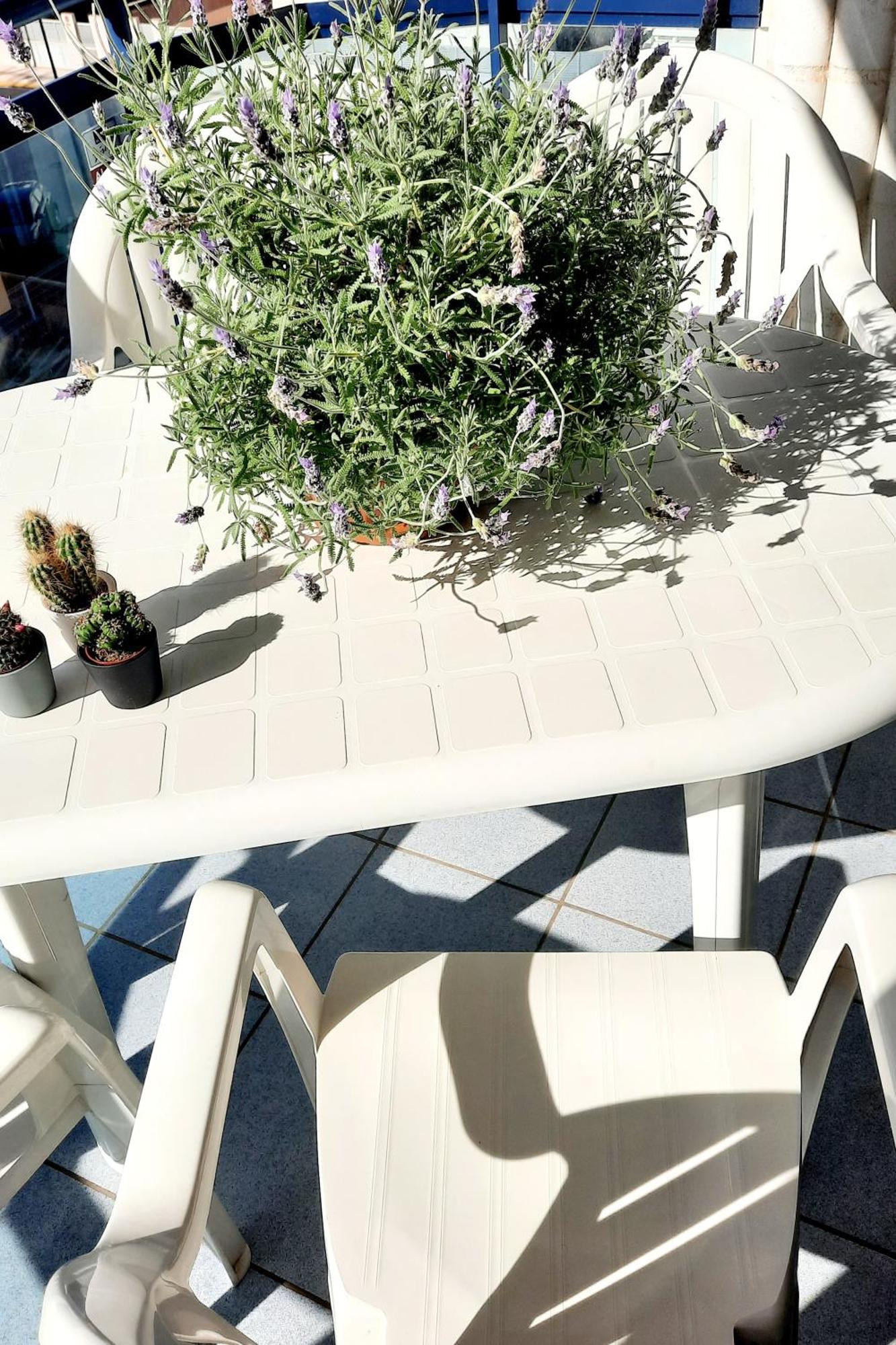 Sunny Apartment Daimus Rum bild